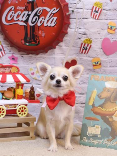 20230914ミルクちゃん